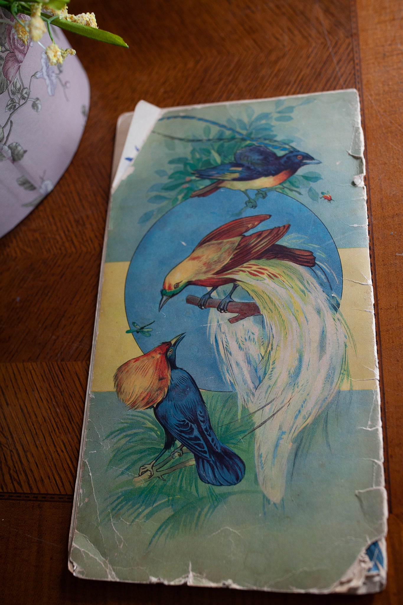 ABC Book of Birds - Bird Book -Vintage Bird Book