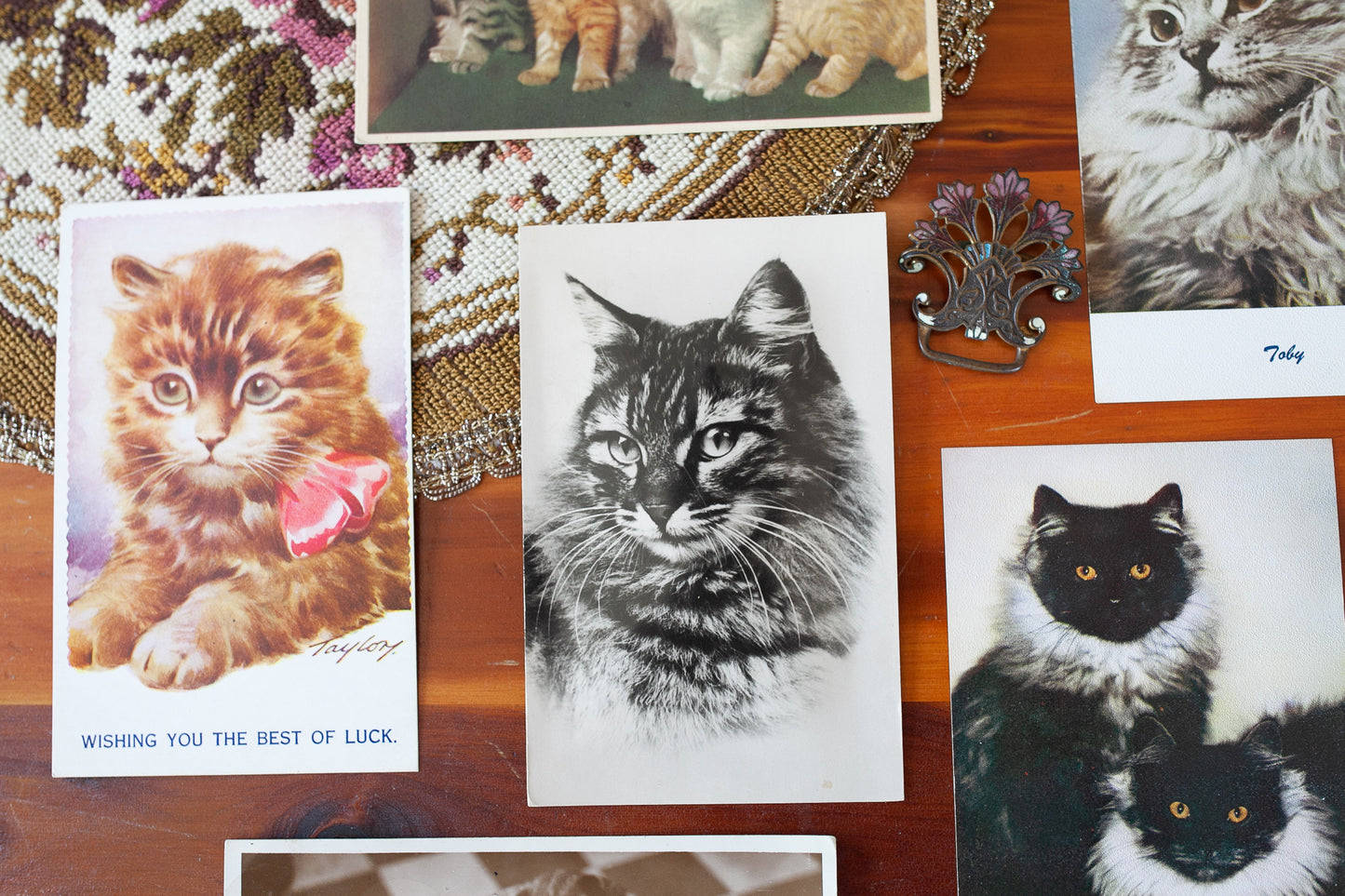 Antique Postcard- Postcards- Ephemera- Cat Portraits