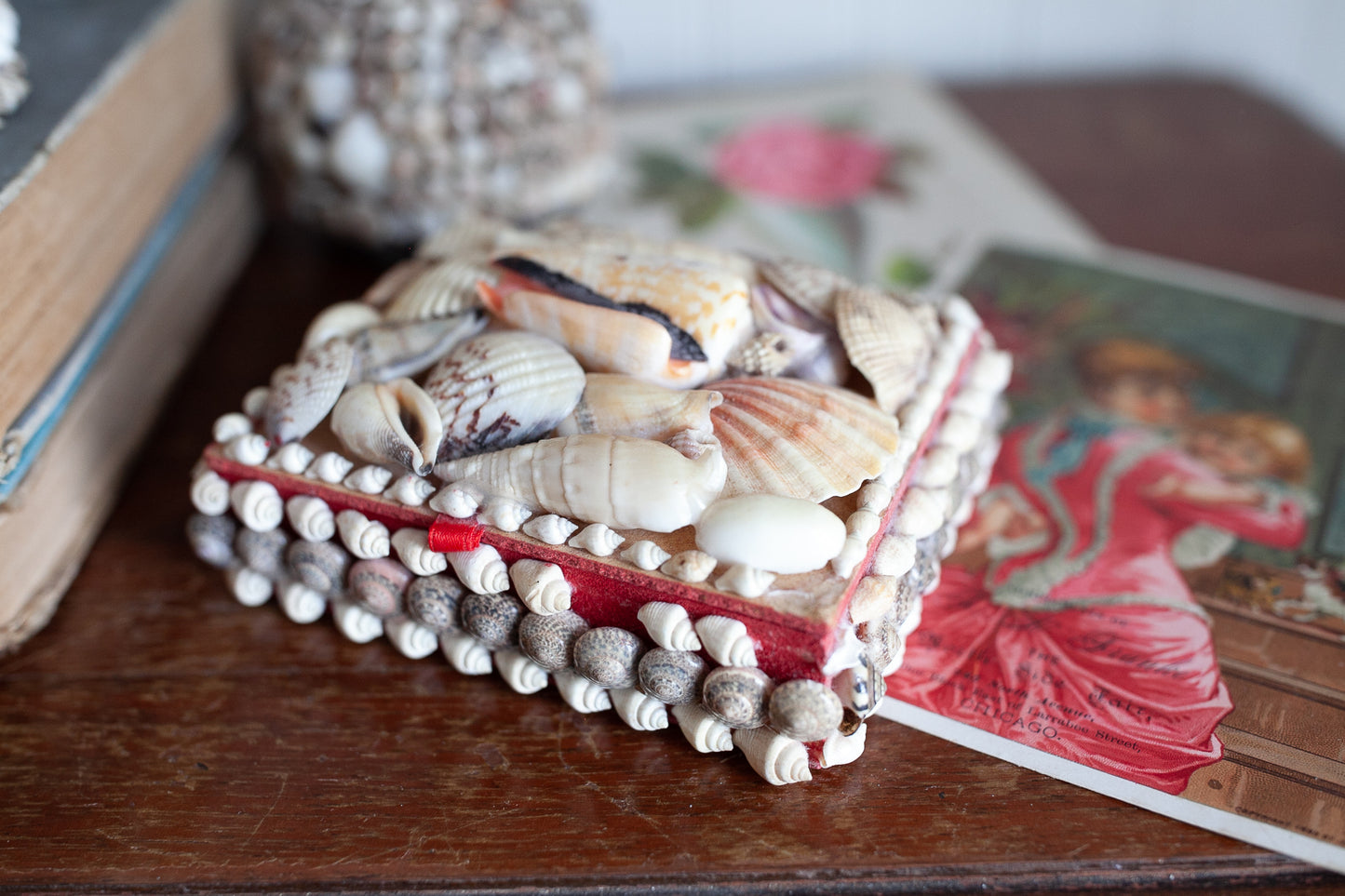 Vintage Shell Box - Shell Box- Trinket Box -Coastal Decor