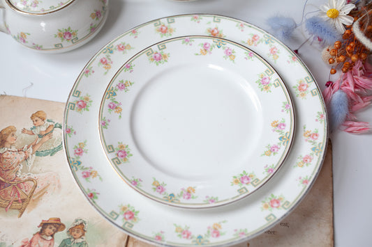 Antique Dinner and Salad Plate - Floral China