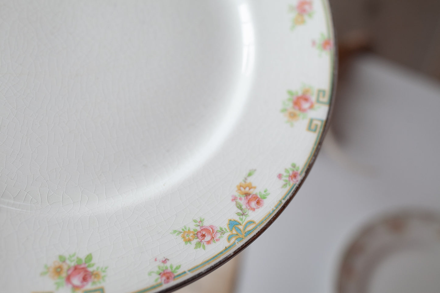 Antique Dinner and Salad Plate - Floral China