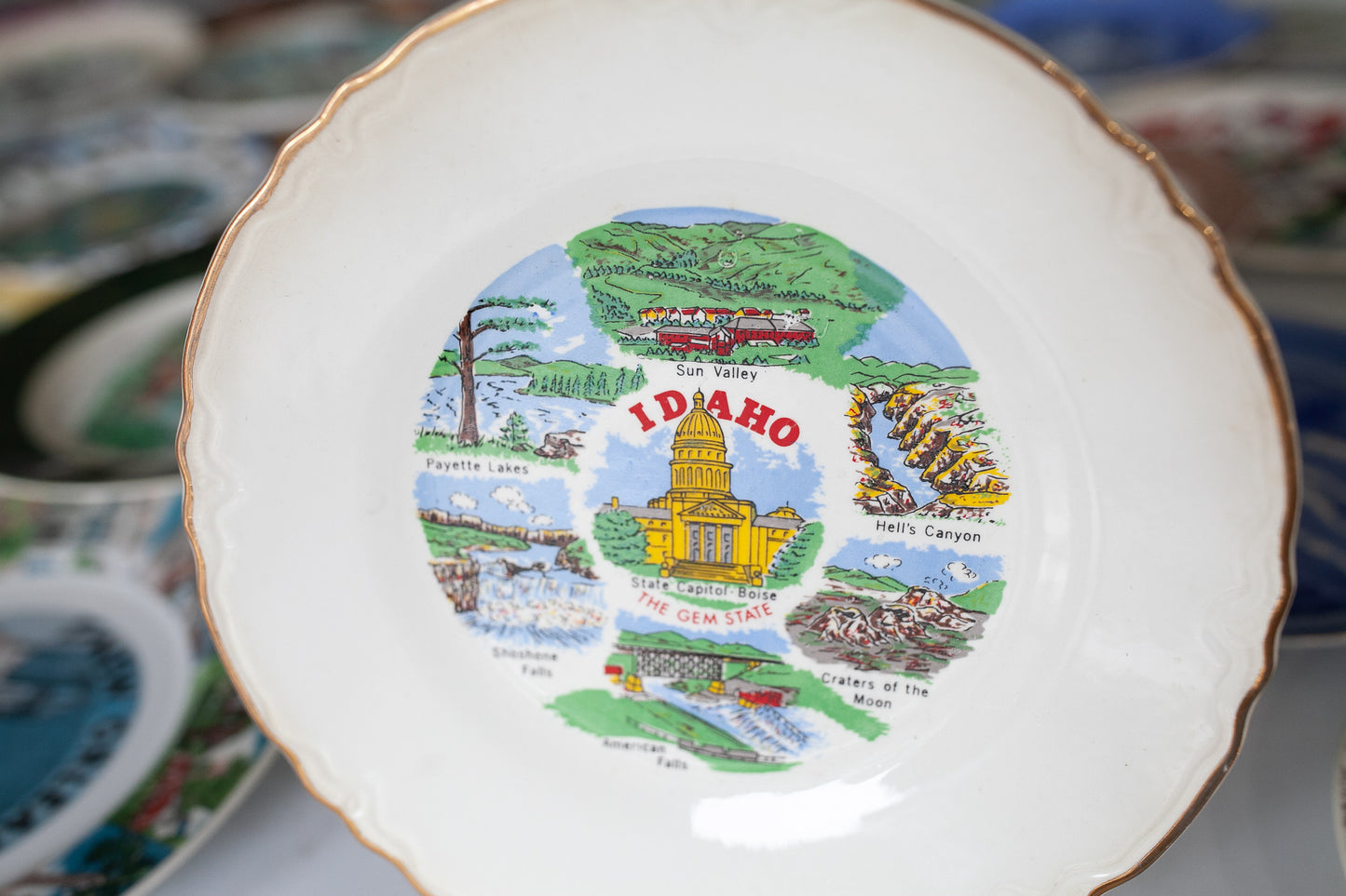 Tourist Plate- Souvenir Plate- Idaho