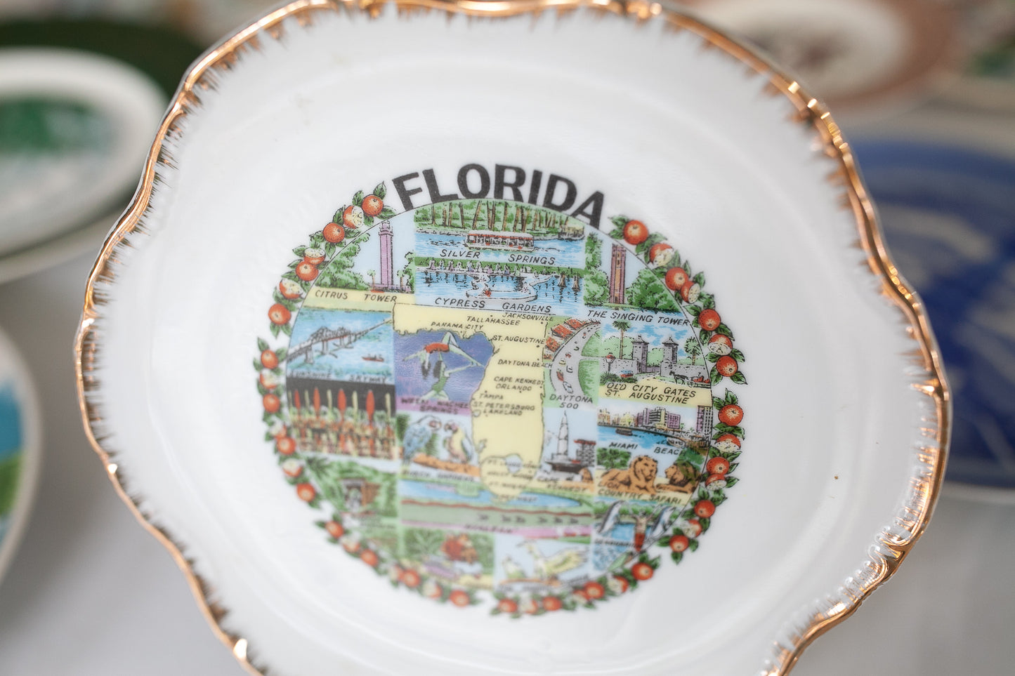 Florida State Plate- Souvenir Plate- Tourist Plate