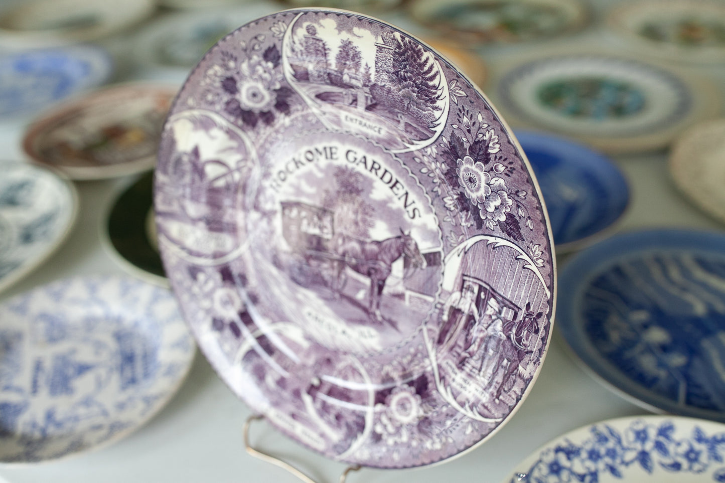 Vintage Plate- Purple Plate- Vintage Collectible plate- Tourist Plate - Rockome Gardens