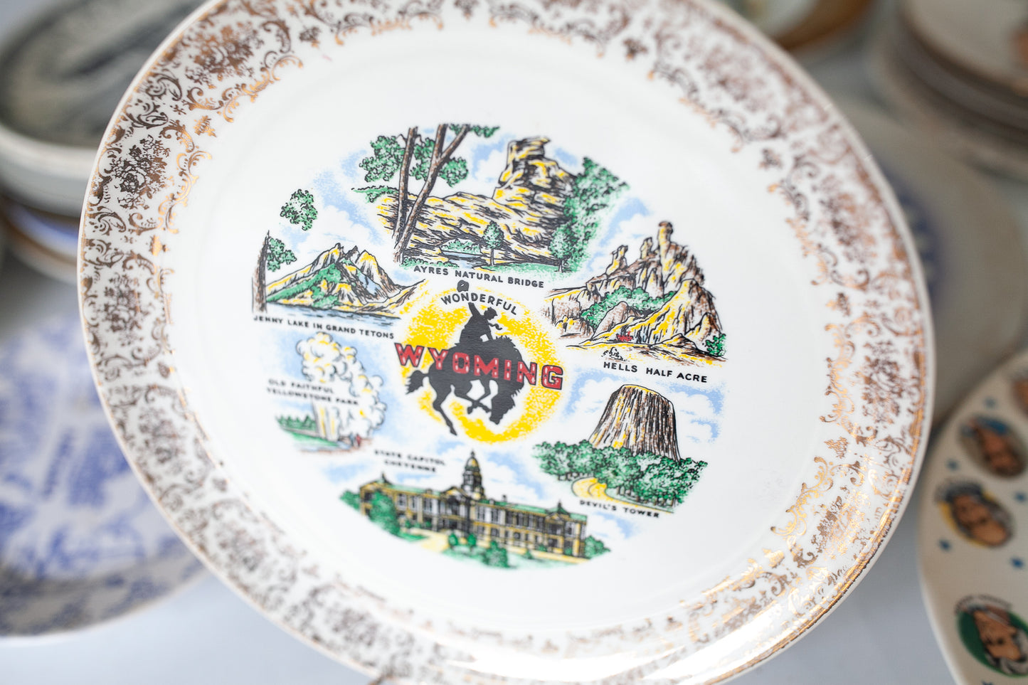 Wyoming Plate- Vintage Tourist Plate - Souvenir Plate