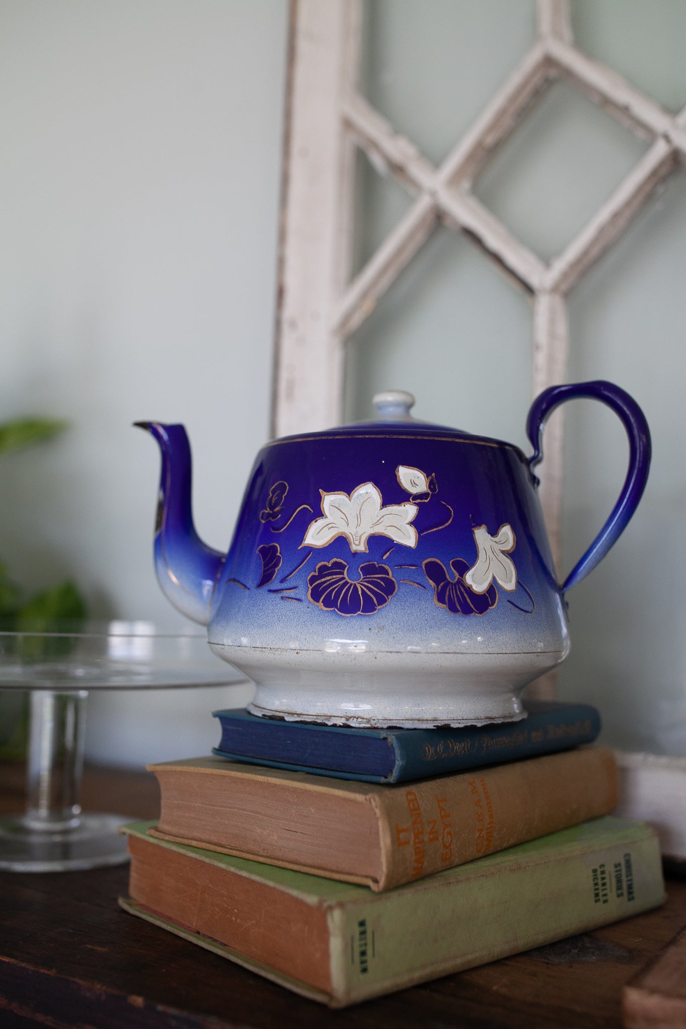 Antique Enamelware Teapot - Blue and White Teapot