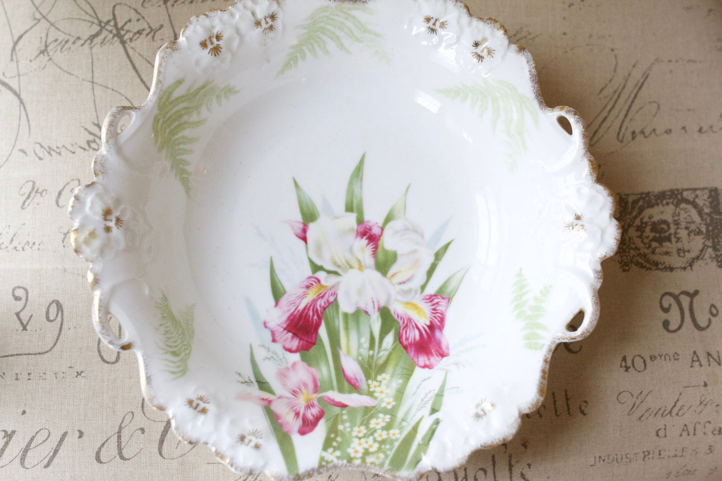 Antique Bavaria Iris Bowl- Porcelain Bowl Floral-Antique, Rosenthal, R.C. Bavaria, Irises