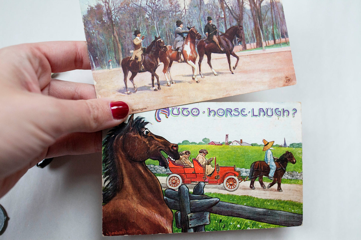 Horse Enthusiast- Horse Postcards and Trinkets -Equestrian